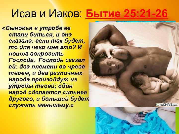 Исав и Иаков: Бытие 25: 21 -26 «Сыновья в утробе ее стали биться, и