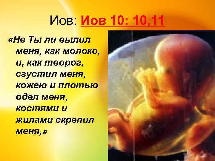 Иов: Иов 10: 10, 11 «Не Ты ли вылил меня, как молоко, и, как