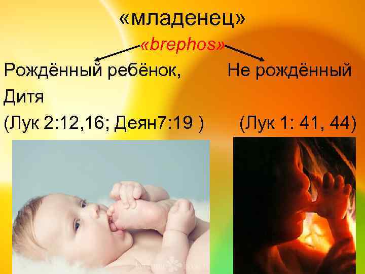  «младенец» «brephos» Рождённый ребёнок, Не рождённый Дитя (Лук 2: 12, 16; Деян 7: