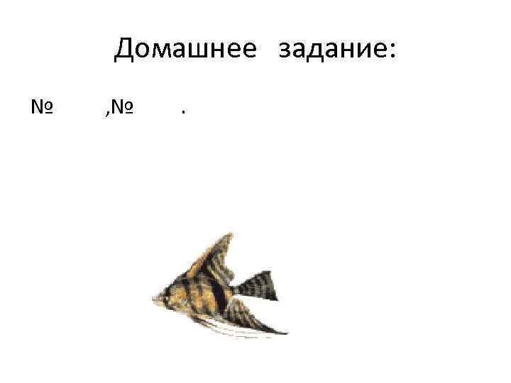 Домашнее задание: № , № . 