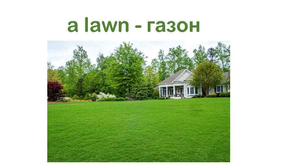 a lawn - газон 