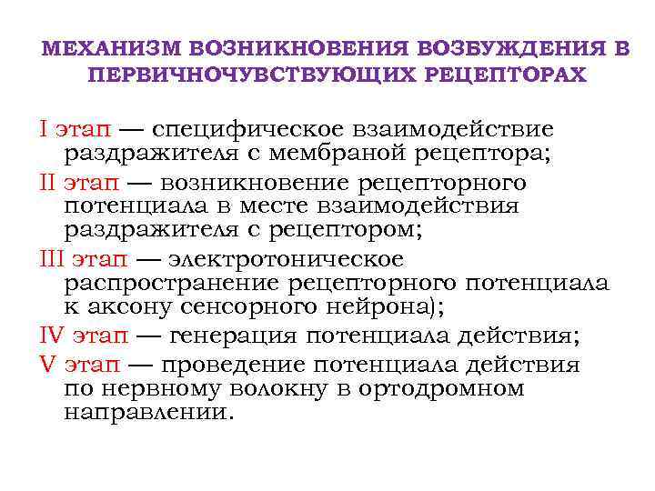 Возникает возбудимость. Механизм передачи возбуждения в первичных и вторичных рецепторах. Механизм возникновения возбуждения в рецепторах. Механизм возникновения возбуждения в рецепторах физиология. Первочувствующие рецепторы.