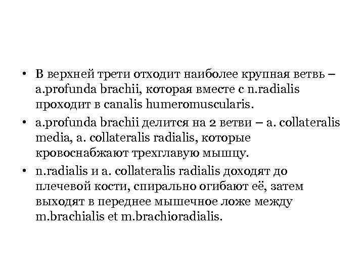  • В верхней трети отходит наиболее крупная ветвь – a. profunda brachii, которая