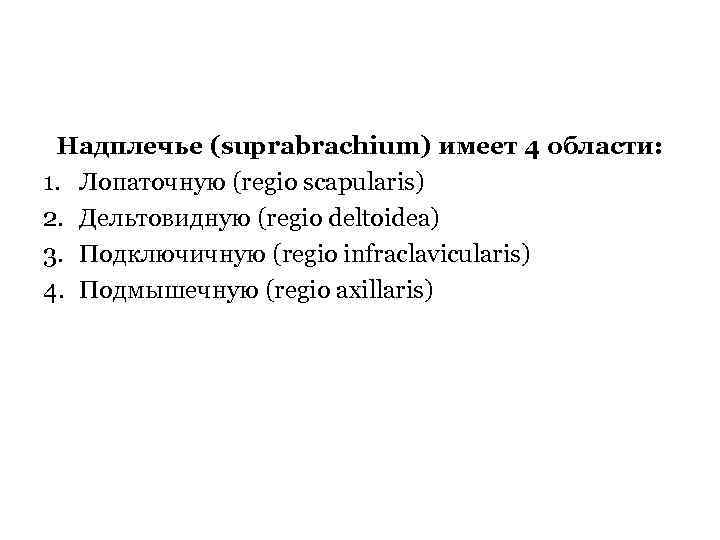 Надплечье (suprabrachium) имеет 4 области: 1. Лопаточную (regio scapularis) 2. Дельтовидную (regio deltoidea) 3.