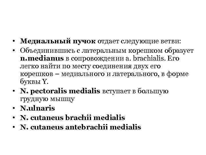  • Медиальный пучок отдает следующие ветви: • Объединившись с латеральным корешком образует n.