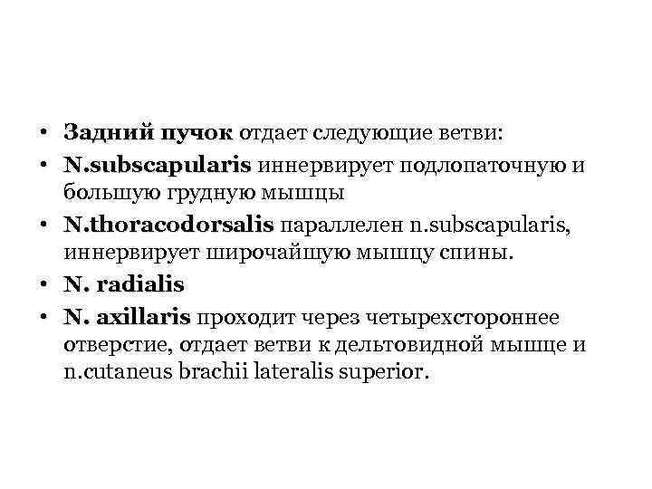  • Задний пучок отдает следующие ветви: • N. subscapularis иннервирует подлопаточную и N.