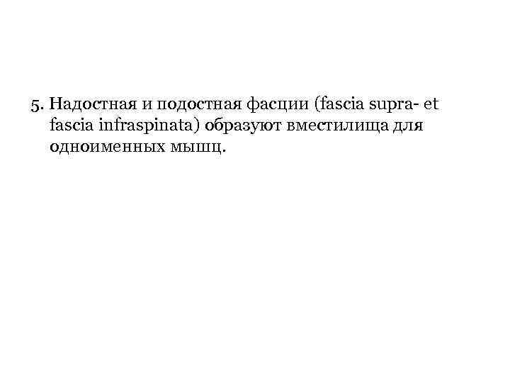 5. Надостная и подостная фасции (fascia supra- et fascia infraspinata) образуют вместилища для одноименных