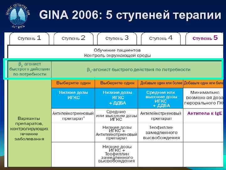 GINA 2006: 5 ступеней терапии 
