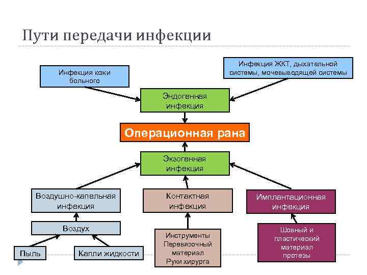 Пути передачи инфекции Инфекция ЖКТ, дыхательной системы, мочевыводящей системы Инфекция кожи больного Эндогенная инфекция