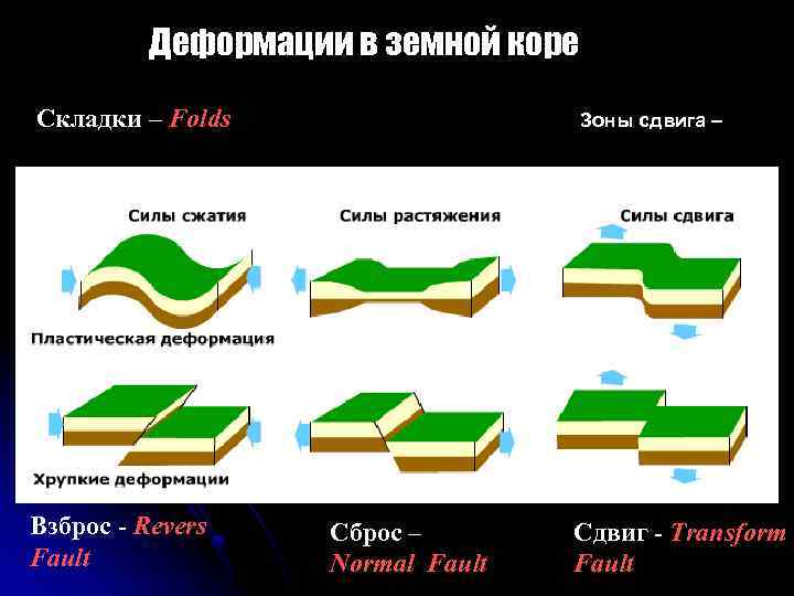 Деформации в земной коре Складки – Folds Взброс - Revers Fault Зоны сдвига –