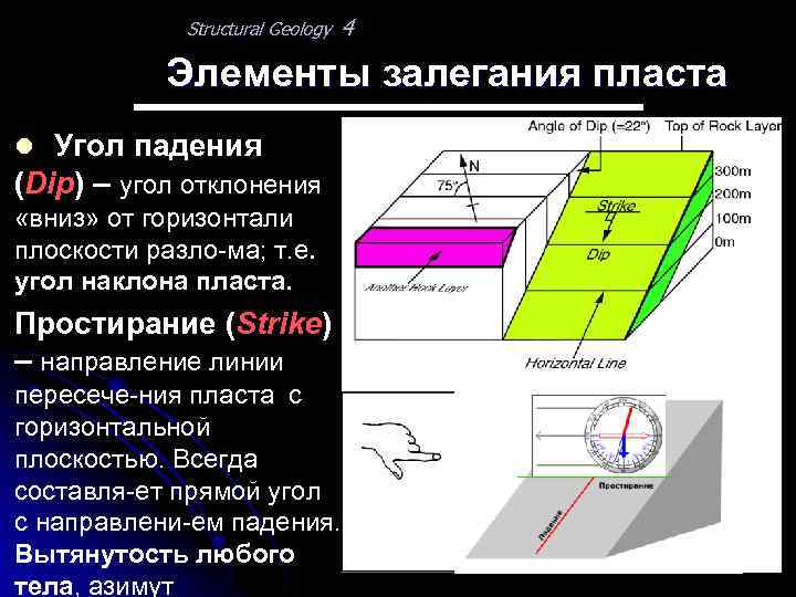 Structural Geology 4 Элементы залегания пласта l Угол падения (Dip) – угол отклонения «вниз»