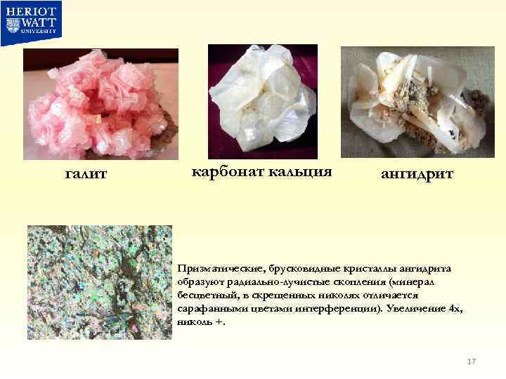 галит карбонат кальция ангидрит Призматические, брусковидные кристаллы ангидрита образуют радиально-лучистые скопления (минерал бесцветный, в