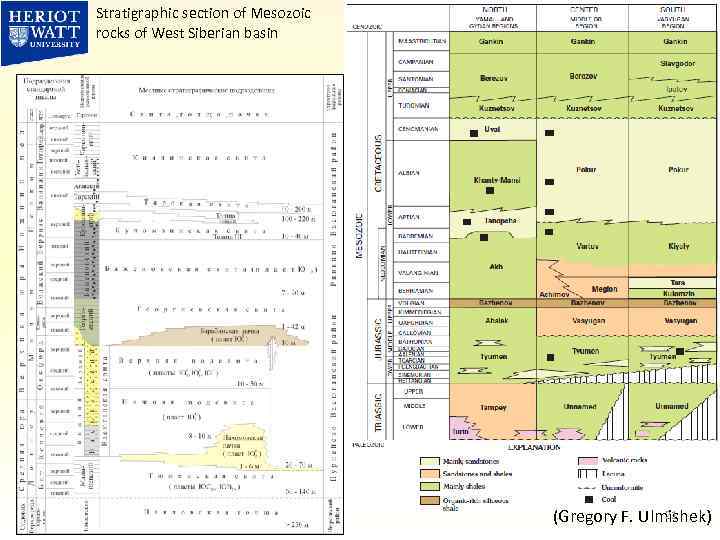 Stratigraphic section of Mesozoic rocks of West Siberian basin 21 (Gregory F. Ulmishek) 