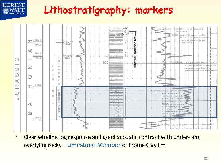 Lithostratigraphy: markers • Clear wireline log response and good acoustic contract with under- and