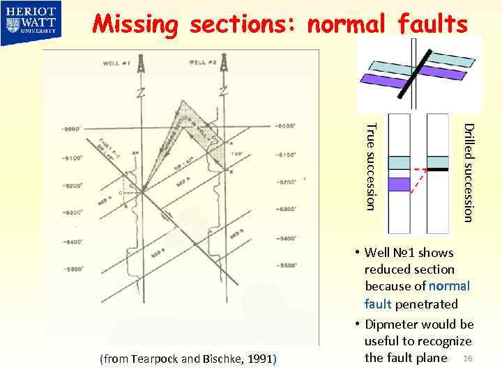 Missing sections: normal faults Drilled succession True succession (from Tearpock and Bischke, 1991) •