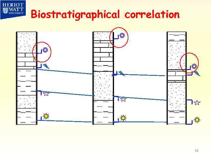 Biostratigraphical correlation 33 