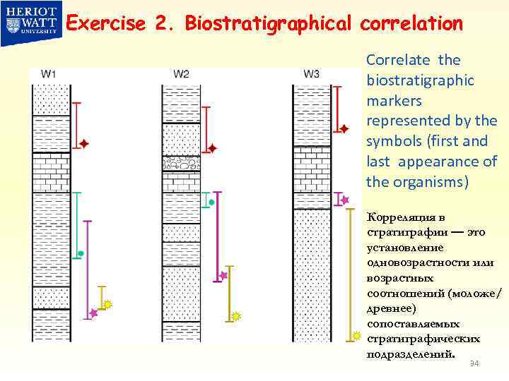 Exercise 2. Biostratigraphical correlation Correlate the biostratigraphic markers represented by the symbols (first and