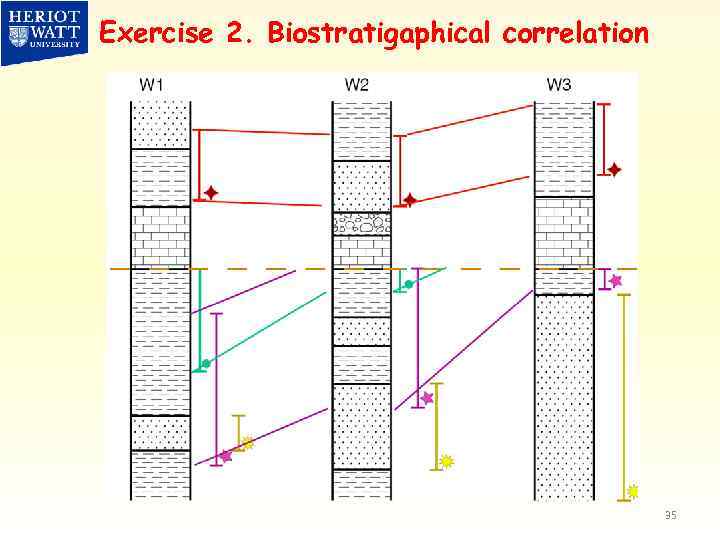 Exercise 2. Biostratigaphical correlation 35 