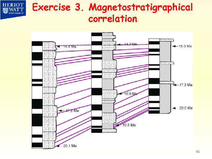 Exercise 3. Magnetostratigraphical correlation 40 