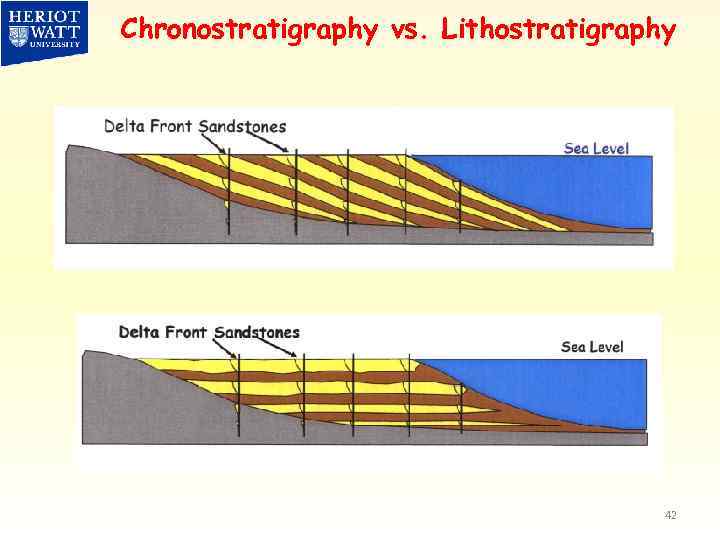 Chronostratigraphy vs. Lithostratigraphy 42 