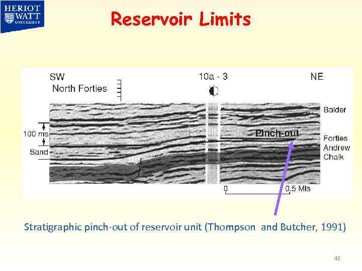 Reservoir Limits Stratigraphic pinch-out of reservoir unit (Thompson and Butcher, 1991) 45 