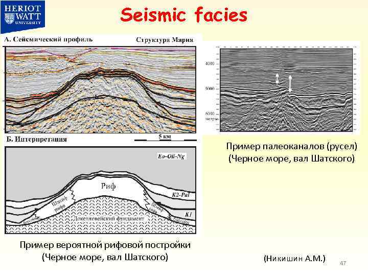 Seismic facies Пример палеоканалов (русел) (Черное море, вал Шатского) Пример вероятной рифовой постройки (Черное