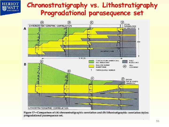 Chronostratigraphy vs. Lithostratigraphy Progradational parasequence set 56 