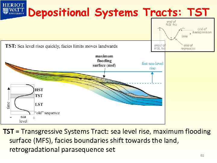 Depositional Systems Tracts: TST = Transgressive Systems Tract: sea level rise, maximum flooding surface