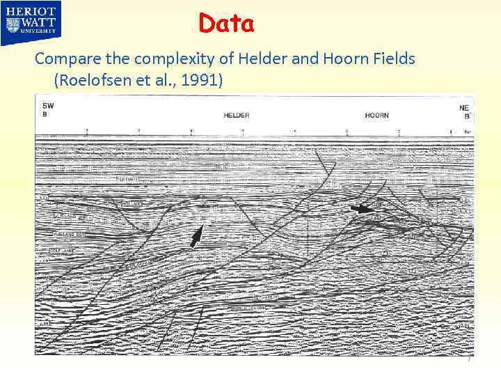 Data Compare the complexity of Helder and Hoorn Fields (Roelofsen et al. , 1991)