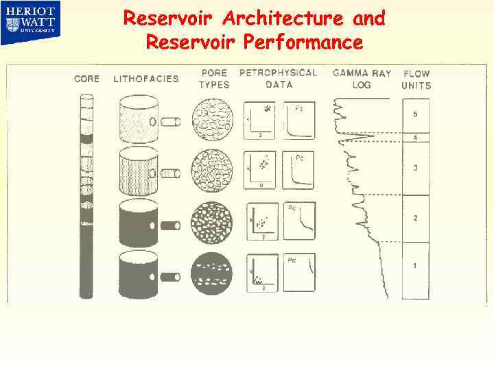 Reservoir Architecture and Reservoir Performance 