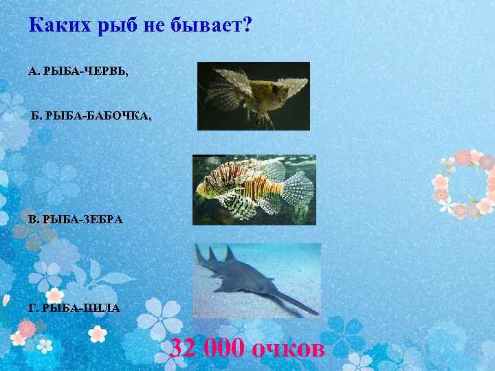 Каких рыб не бывает? А. РЫБА-ЧЕРВЬ, Б. РЫБА-БАБОЧКА, В. РЫБА-ЗЕБРА Г. РЫБА-ПИЛА 32 000