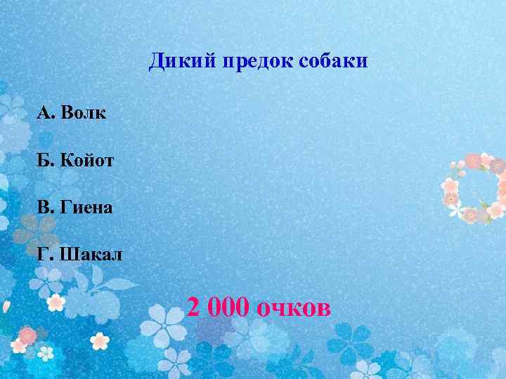 Дикий предок собаки А. Волк Б. Койот В. Гиена Г. Шакал 2 000 очков