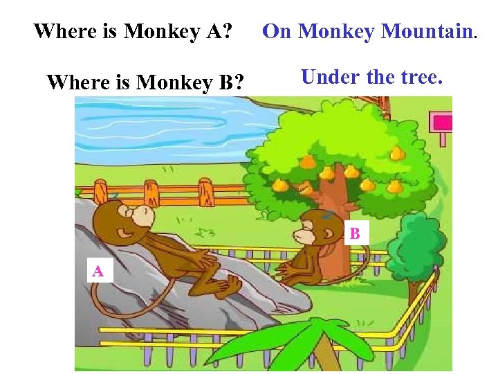 Where is Monkey A? Where is Monkey B? On Monkey Mountain. Under the tree.
