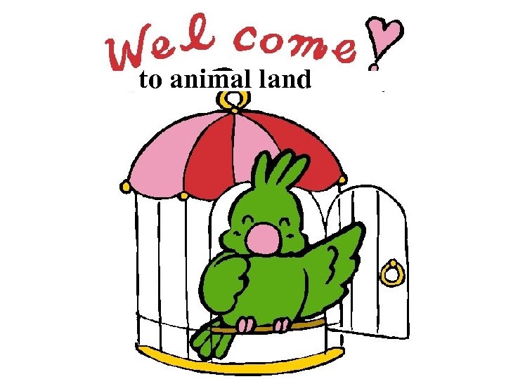 to animal land 