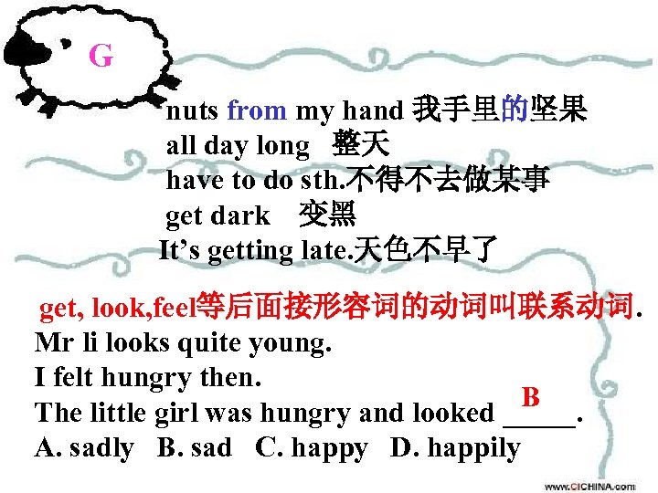 G nuts from my hand 我手里的坚果 all day long 整天 have to do sth.