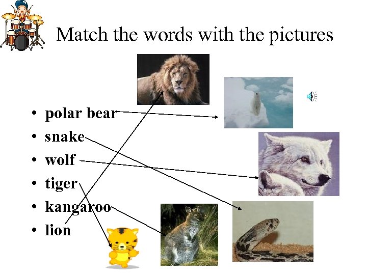 Match the words with the pictures • • • polar bear snake wolf tiger