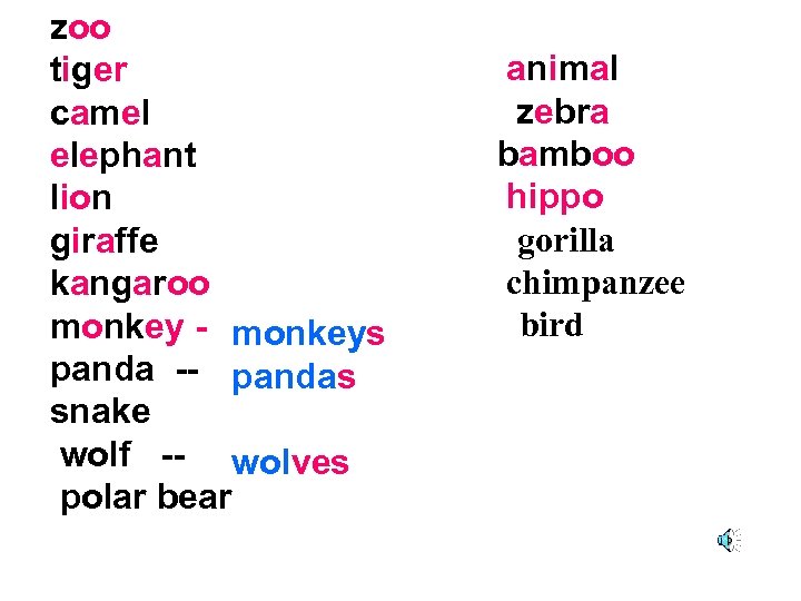 zoo tiger camel elephant lion giraffe kangaroo monkey - monkeys panda -- pandas snake