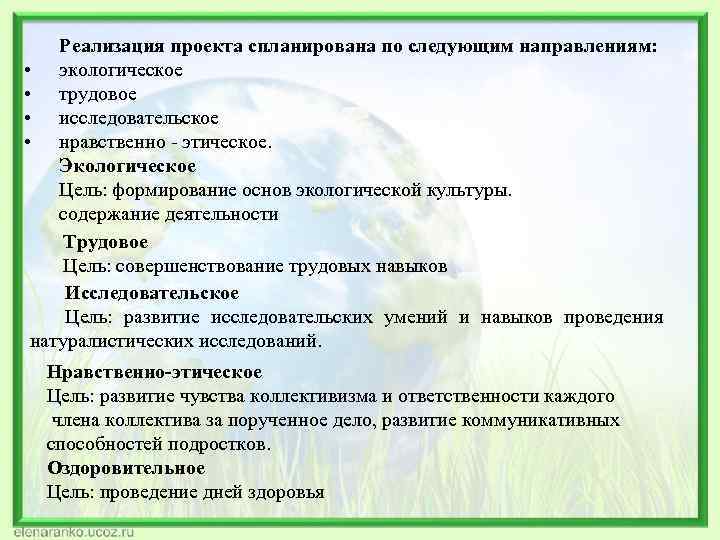 Реализация проекта спланирована по следующим направлениям: • экологическое • трудовое • исследовательское • нравственно