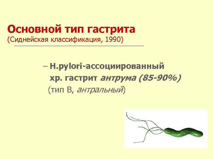 Основной тип гастрита (Сиднейская классификация, 1990) – Н. pylori-ассоциированный хр. гастрит антрума (85 -90%)