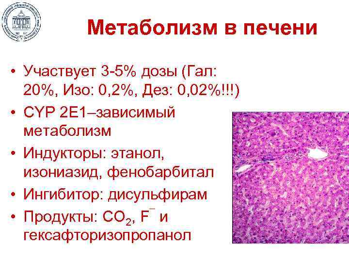 Метаболизм в печени • Участвует 3 -5% дозы (Гал: 20%, Изо: 0, 2%, Дез: