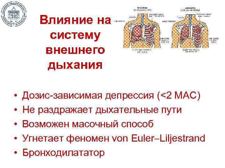 Влияние на систему внешнего дыхания • • • Дозис-зависимая депрессия (<2 МАС) Не раздражает