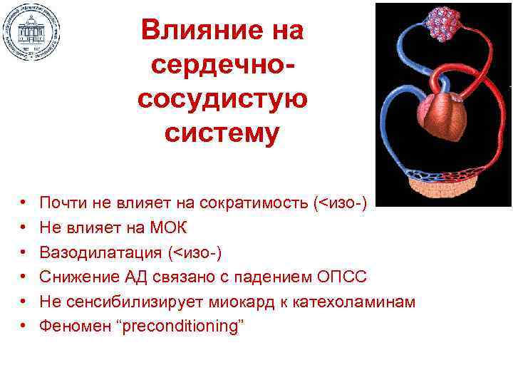 Влияние на сердечнососудистую систему • • • Почти не влияет на сократимость (<изо-) Не