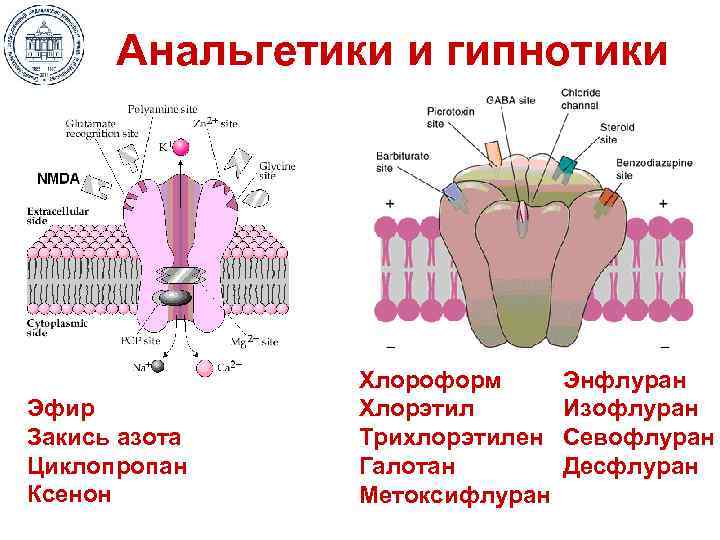 Анальгетики и гипнотики Эфир Закись азота Циклопропан Ксенон Хлороформ Хлорэтил Трихлорэтилен Галотан Метоксифлуран Энфлуран