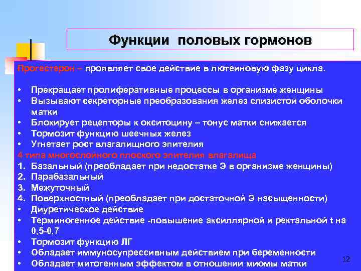 Функции половых гормонов Прогестерон – проявляет свое действие в лютеиновую фазу цикла. • •