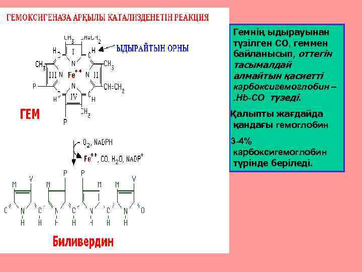 Гемнің ыдырауынан түзілген СО, геммен байланысып, оттегін тасымалдай алмайтын қасиетті карбоксигемоглобин –. Hb-CO түзеді.