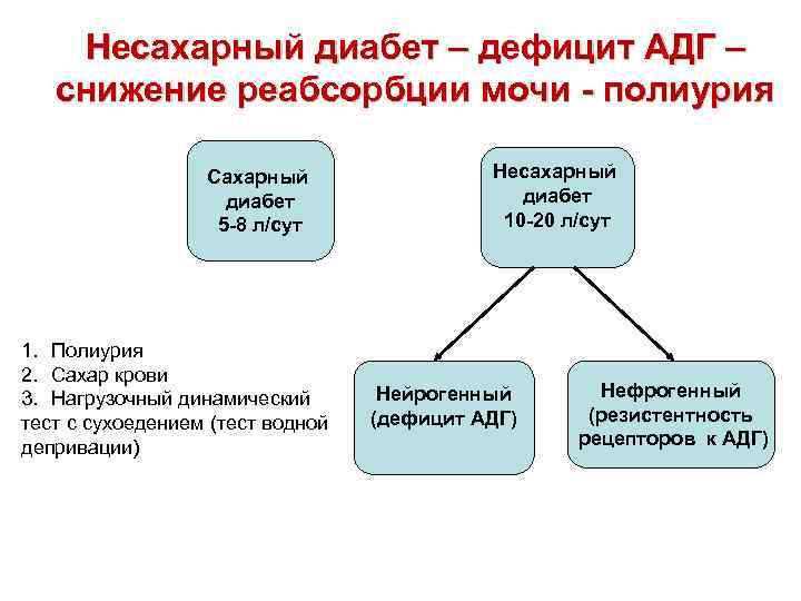 Несахарный диабет – дефицит АДГ – снижение реабсорбции мочи - полиурия Сахарный диабет 5
