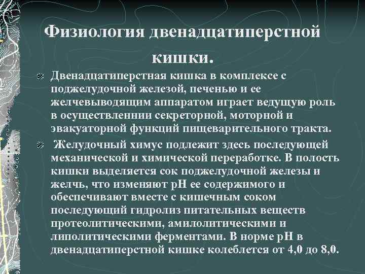 Физиология двенадцатиперстной кишки. Двенадцатиперстная кишка в комплексе с поджелудочной железой, печенью и ее желчевыводящим