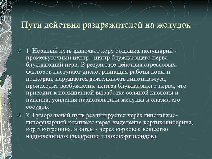 Пути действия раздражителей на желудок 1. Нервный путь включает кору больших полушарий промежуточный центр