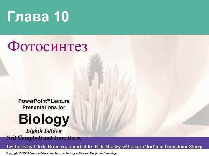 Глава 10 Фотосинтез Power. Point® Lecture Presentations for Biology Eighth Edition Neil Campbell and