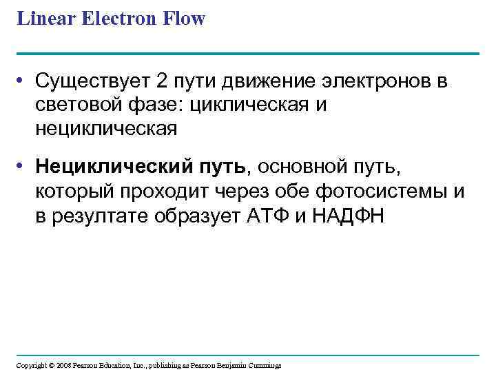 Linear Electron Flow • Существует 2 пути движение электронов в световой фазе: циклическая и